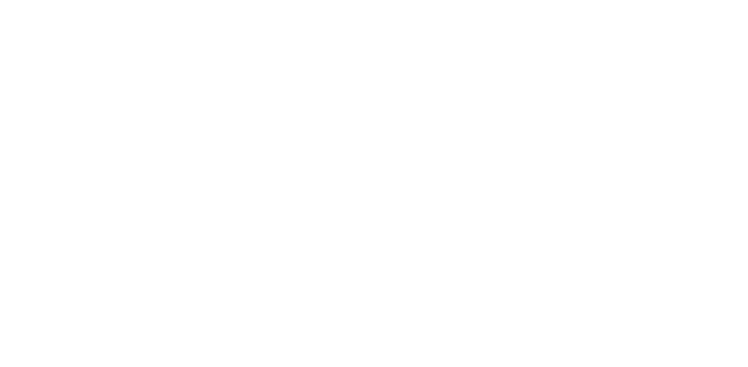 Top Engenharia